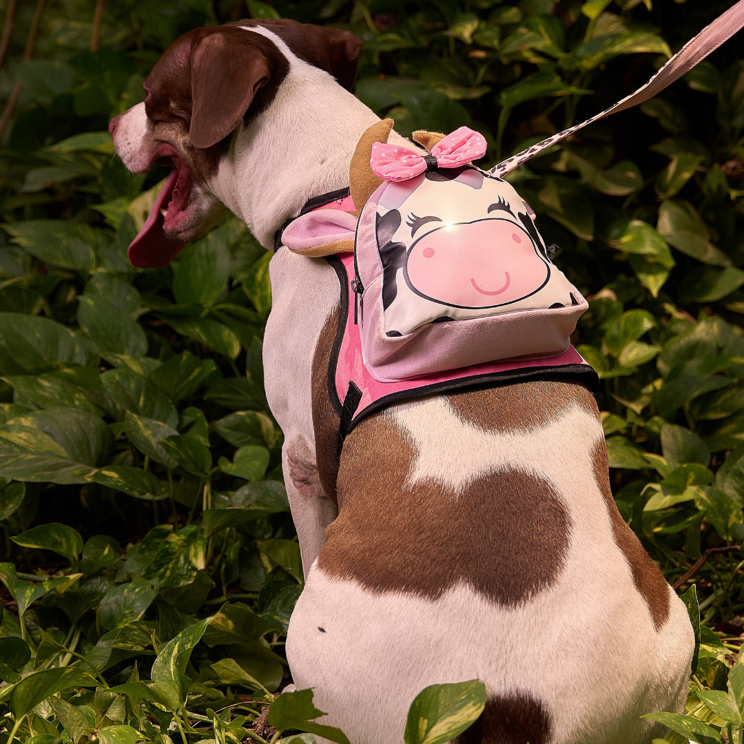 BOLSO PECHERA VAQUITA