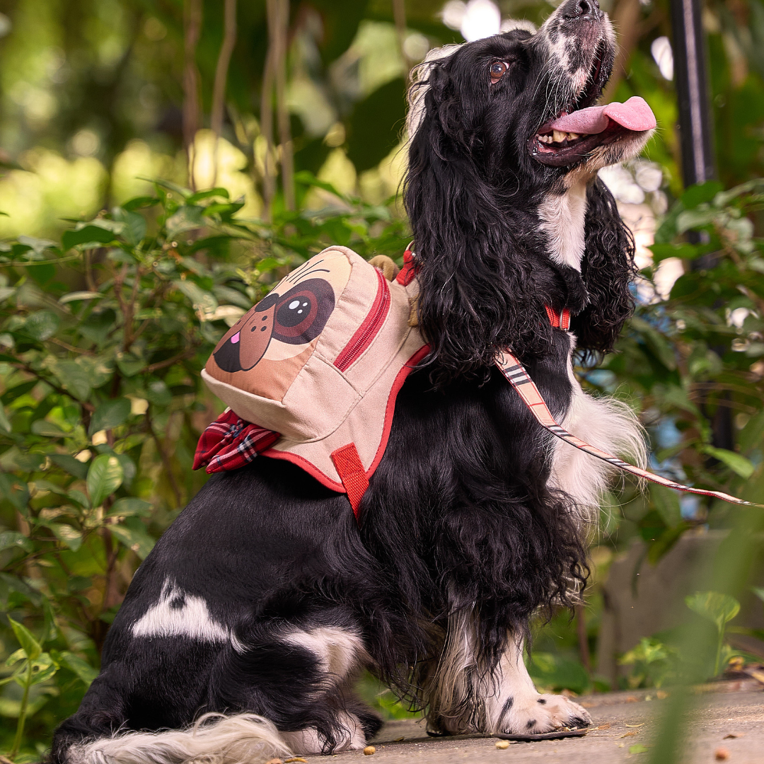 BOLSO PECHERA PERRO