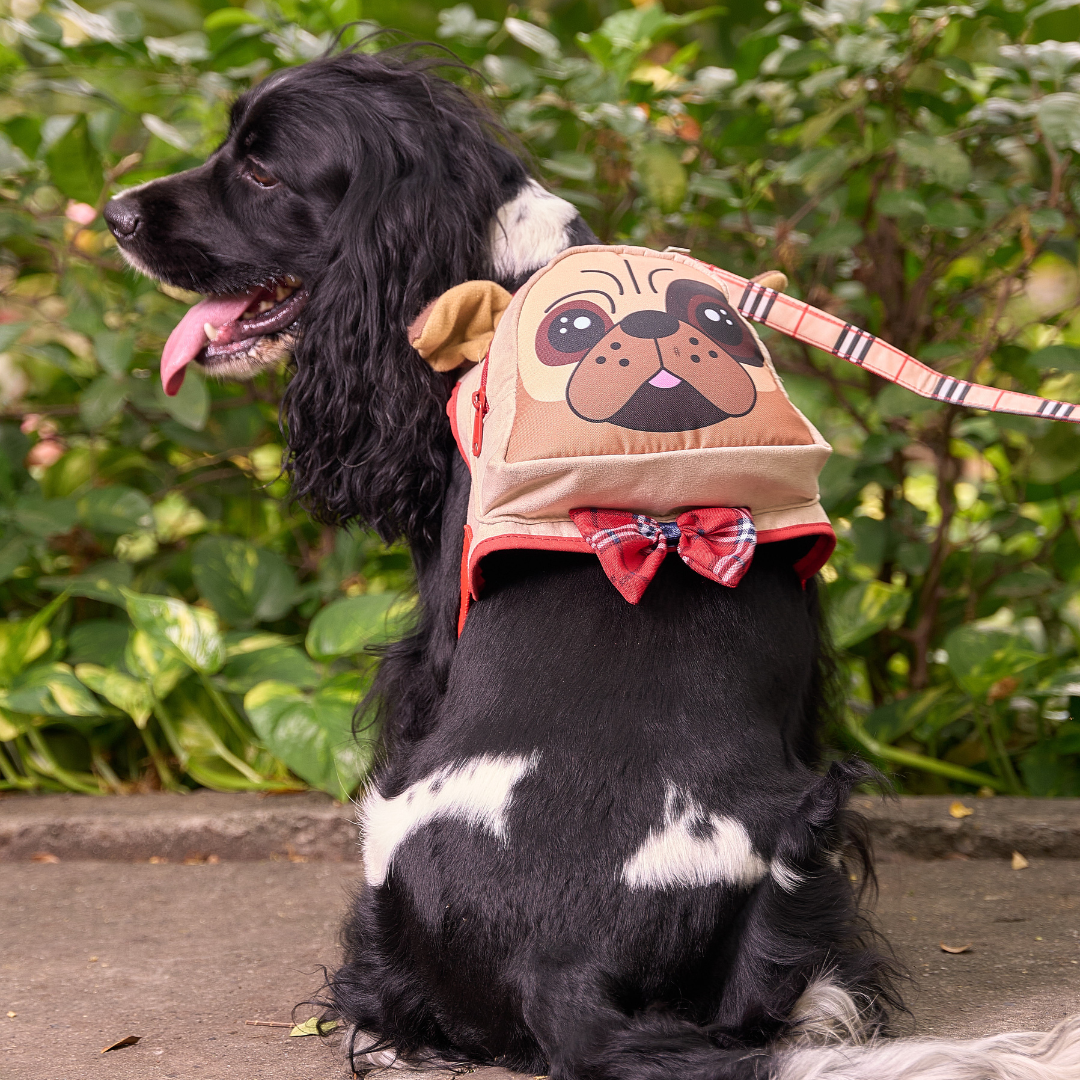 BOLSO PECHERA PERRO